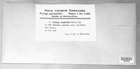 Image Associated With the Occurrence